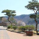 필봉 작은도서관 이미지