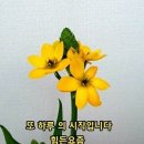 🎈 영덕 장사해수욕장 ~~ 오늘 가오픈 공연 이미지