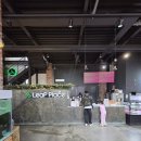 부화장 | [용인] 아이와 가볼만한곳 추천! 파충류 체험의 끝판왕 "리프플레이스" 솔직 후기