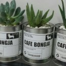 하이퍼피 이미지