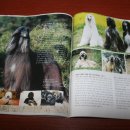 노블하우스 이미지