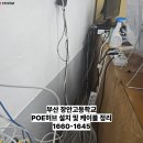 장안고등학교 이미지