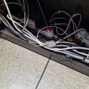 오투시스