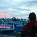 자연은동물병원 이미지