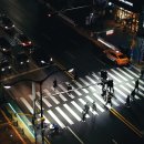 구청 앞 횡단보도 이미지