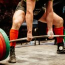 유엘피티 이미지