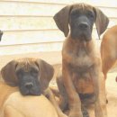 수정농장 이미지