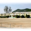 불갑초등학교 이미지