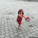 덕산하나어린이집 | 2025. 07 4주차 시작 폭염 시작인가???