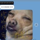 예스편의점 | 3일 여행 일기 🇹🇼 | 2일차, 융캉제 라뜰리에 라쁘티펄 중정기념관 일일버스투어추천 예스지 내돈내산 후기