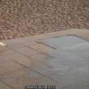 1월 6일 해운대 바다 수영(오늘도 꽁꽁~~) 이미지