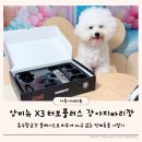 강삼지 강아지 미용실 | 강아지 셀프미용 끝판왕 앙비뉴 X3 터보플러스 강아지바리깡