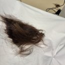 그로잉 | 답십리 미용실 중단발 레이어드컷 그로잉살롱 후기