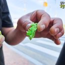 죽변제일낚시점 이미지