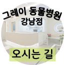 그레이동물병원 강남점 이미지