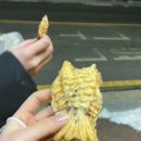 보령금산인삼사