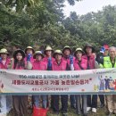 세종도시교통공사 이미지