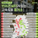 pet191고8966 | 2025년 추석 ver. 반려견 쉼터 있는 고속도로 휴게소 총정리