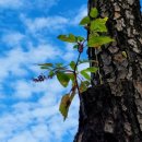 전익수농장 이미지