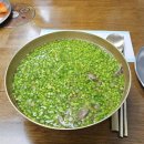 능동2 | 성수동 맛집 능동미나리 웨이팅 솔직후기 미나리곰탕 가격 맛 총정리