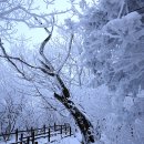 1월19일(수)[07:00출발] 무주 안성○☆향적봉 ♧백련사*온세상이 하얗게 변해버린 동화속 세상 이미지