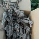 여수농장 이미지