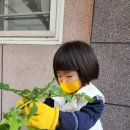 성곡예일어린이집 이미지