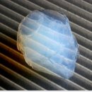 더메디칼 이미지