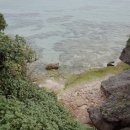 천인동