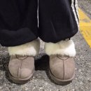 코코아 | 슈펜 어그 슬리퍼 시어링 슬립온 코코아 후기