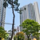 더온공인중개사사무소 이미지