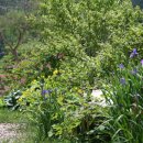 한가족농장 이미지