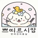 쁘띠르시앙