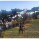 시간여행 펜션 이미지