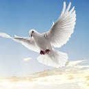 파스카 축제의 삶 - 꿈, 사랑, 지혜, 평화 - 2022. 5.22. 부활 제6주일 / 이수철 프란치스코 신부﻿ 이미지