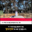 홍암 나인협 선생 이미지