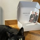 블랙호텔 | [공지] 르망고 느와 루녹스 블랙 L 착용후기 호캉스·호텔 수영복 추천