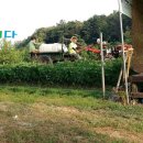 민영이네 이미지