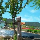 운천보건진료소 이미지