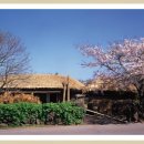 추억이머무르는곳 이미지