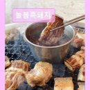 6192 | 제주도 흑돼지 삼겹 목살 맛집 ! 늘봄흑돼지 제주도 흑돼지 늘봄흑돼지, 넓고 쾌적한 공간