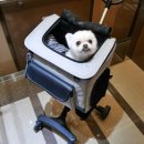 짱구세탁소 이미지