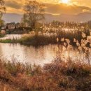 아산시신정호관리사무소 이미지