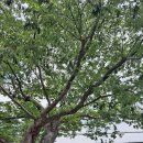 현풍읍 행정복지센터 이미지