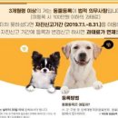 24시 대전동물의료센터 이미지