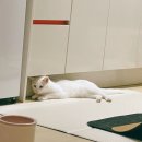 (주)텐데이즈 이미지