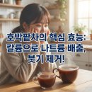 똑똑독 | 호박팥차, 붓기 빼려다 독? 효능, 부작용, 똑똑하게 먹는 법 총정리