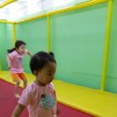 타요방방 이미지