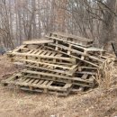 찬이농장 이미지