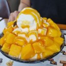 파라재규어 | 과연 이번 출국 전 나는 뭘했을까?